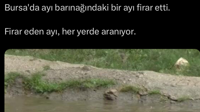 Kızlar bu kaçan kimin exi?