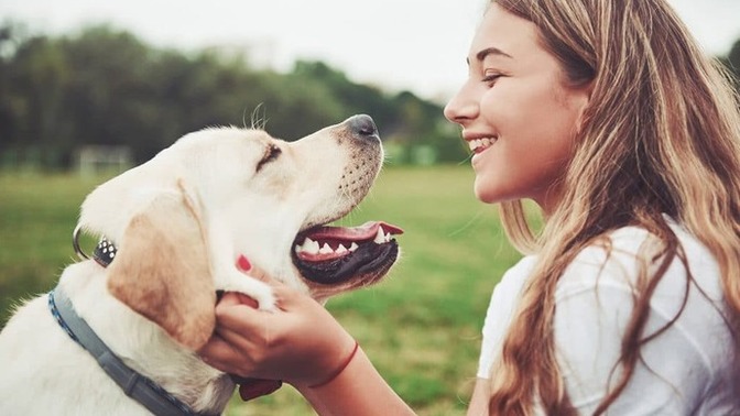 Evde köpek beslemek günah mı?