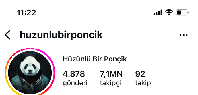 Instagramım neden böyle oldu nasıl düzeltirim?