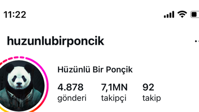 Instagramım neden böyle oldu nasıl düzeltirim?