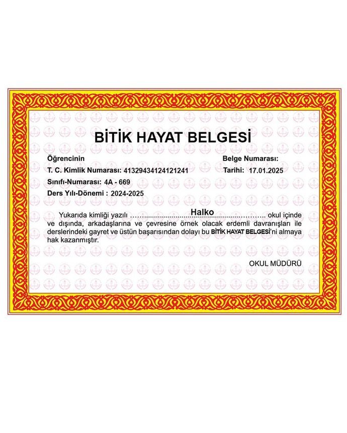 Öğrencilere karne, yetişkinlere Bitik Hayat Belgesi! Hangi notlar sizi temsil ediyor?