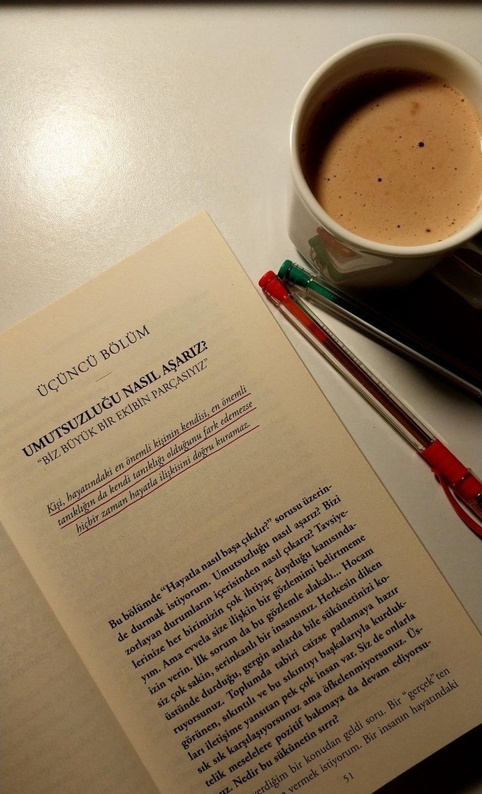 Kitap okurken cümlelerin altını çizer misiniz?