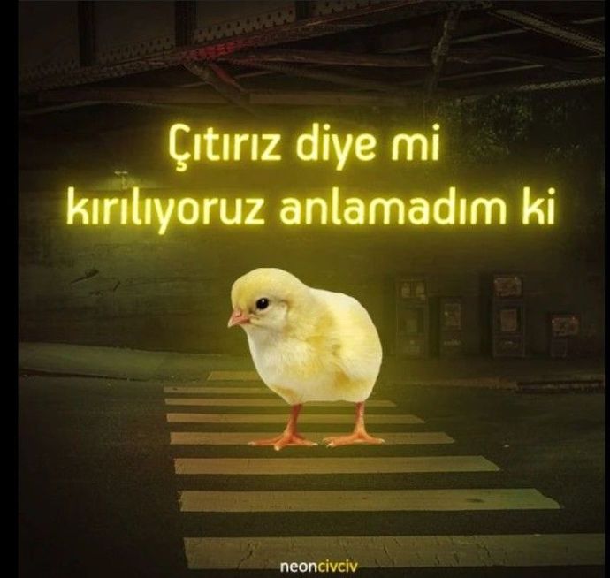 Profil fotoğraflarınızı ne sıklıkla değiştiriyorsunuz?