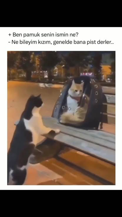 Erkeğin fakir olduğu nereden anlaşılır?