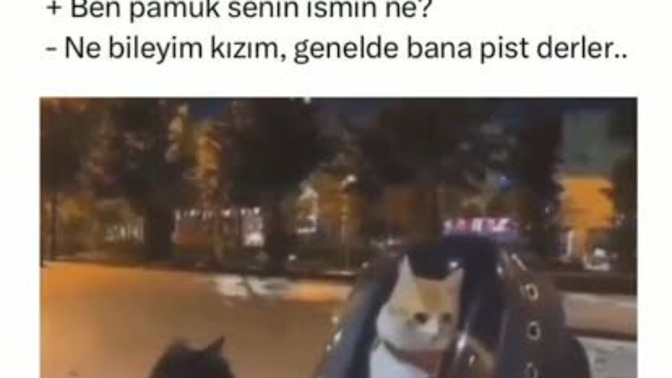 Erkeğin fakir olduğu nereden anlaşılır?