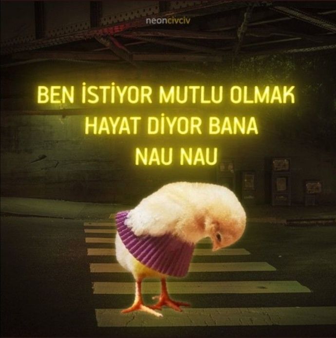 Hayat size hangi konuda nau nau diyor?