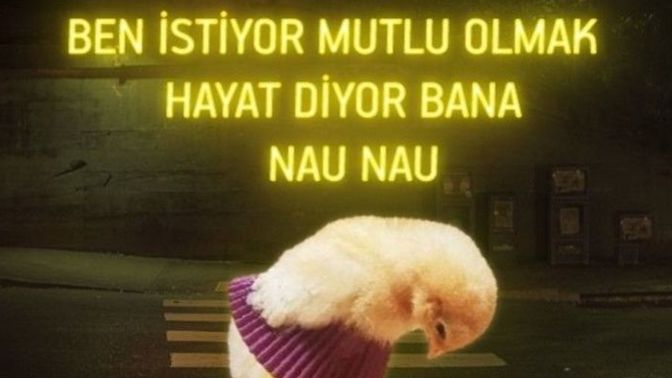 Hayat size hangi konuda nau nau diyor?