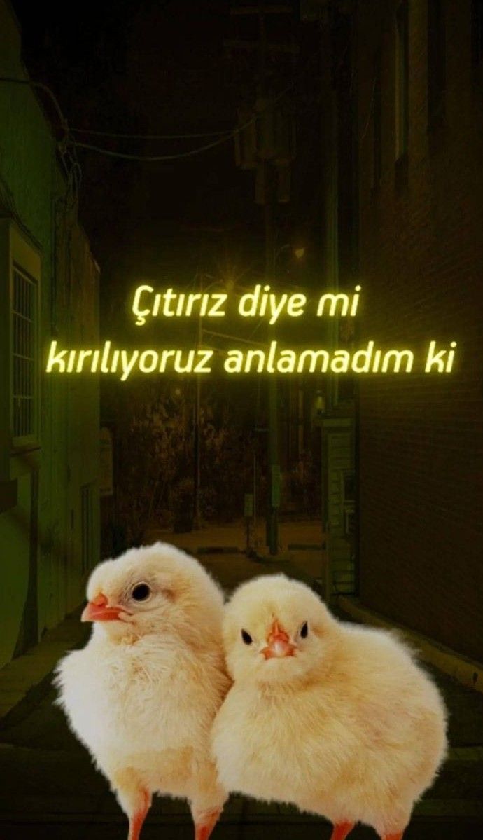 Siz mi hassassınız, insanlar mı düşüncesiz?