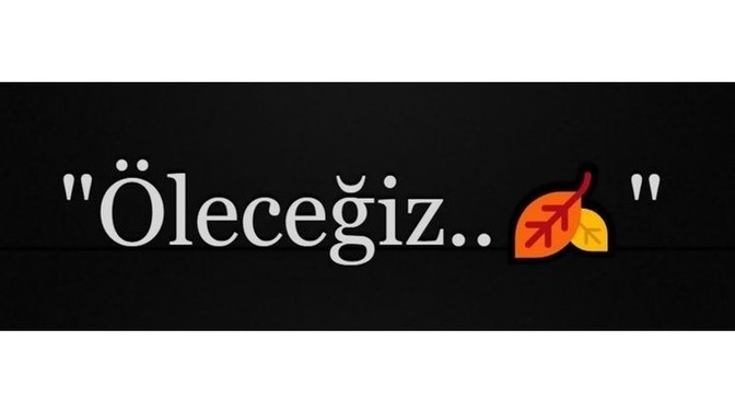 Birbirinizi sevdiğiniz halde anlaşamadığınız biri oldu mu?
