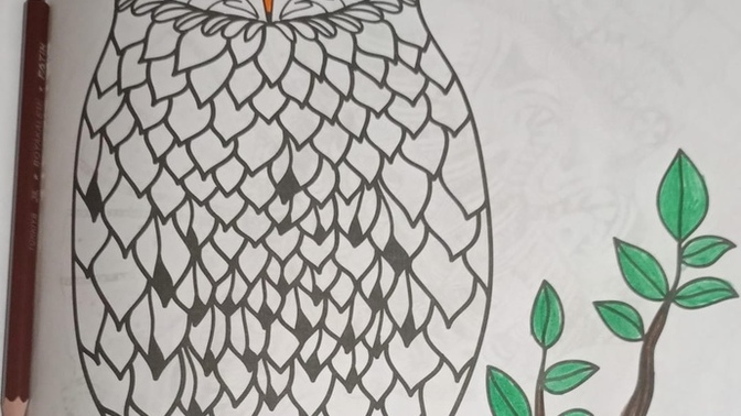 Hangi Renklere Boyamalıyım Yardımcı Olur musunuz?