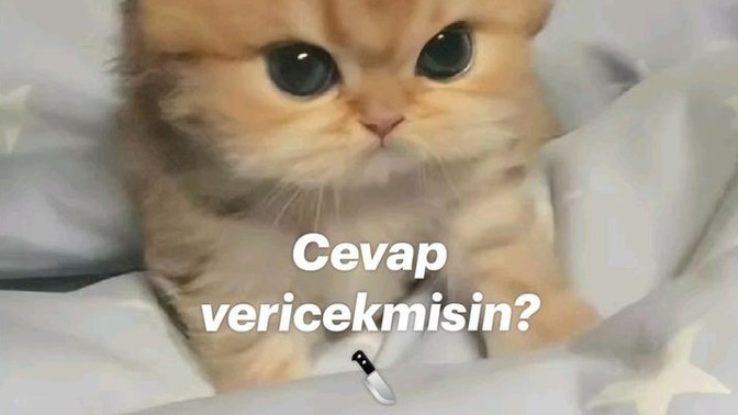Aşkla aran nasıl?