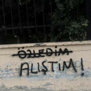 Evin duvarları dili olsa konuşsa neler söylerdi?