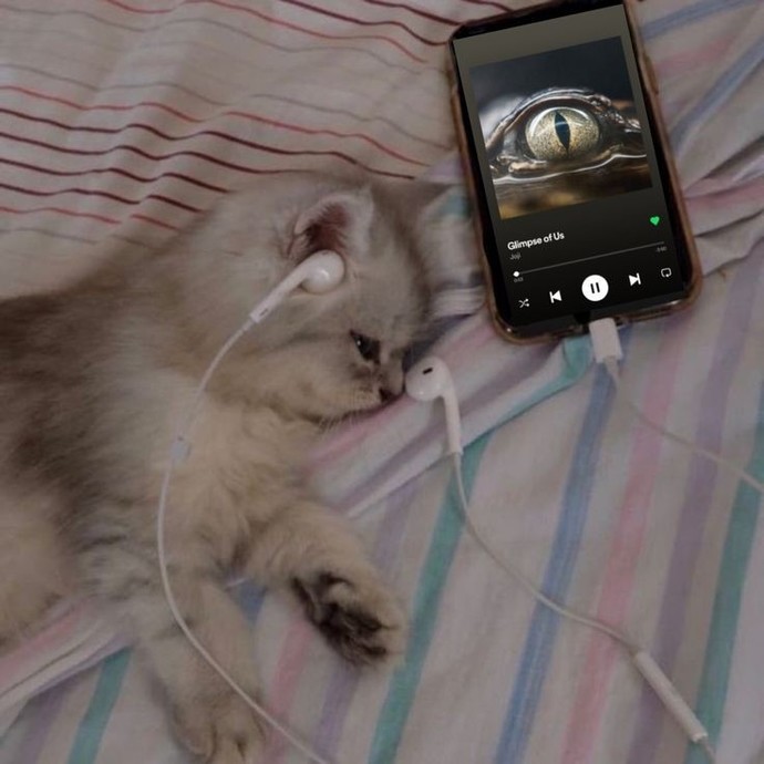Uyurken müzik dinleme alışkanlığınız var mı?