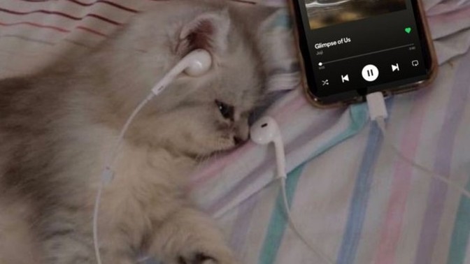 Uyurken müzik dinleme alışkanlığınız var mı?