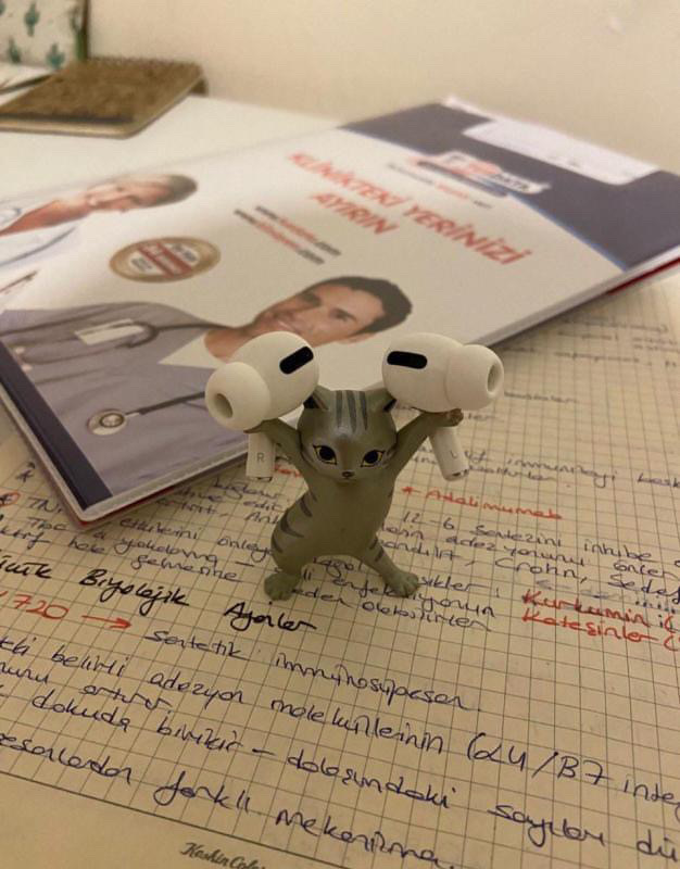 Fuzuli Alışveriş yapar mısınız?
