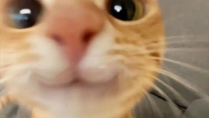 Önümdeki fıkra kitabından size fıkra söyleyeyim mi?