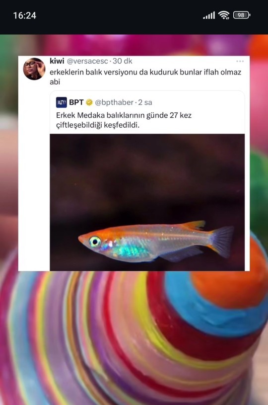Erkekler her cinste aynı mı?