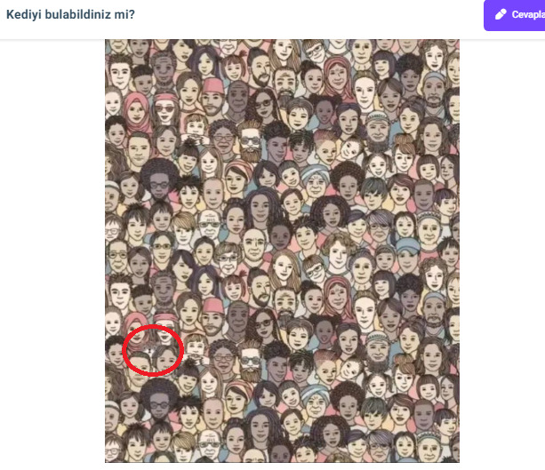Kediyi bulabildiniz mi?