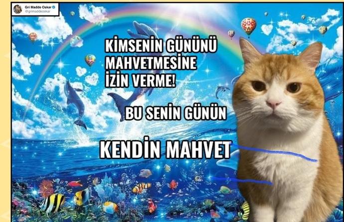 Sizi mahveden şey nedir?