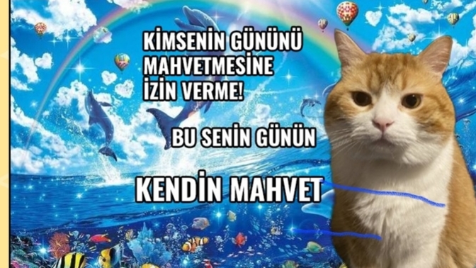 Sizi mahveden şey nedir?