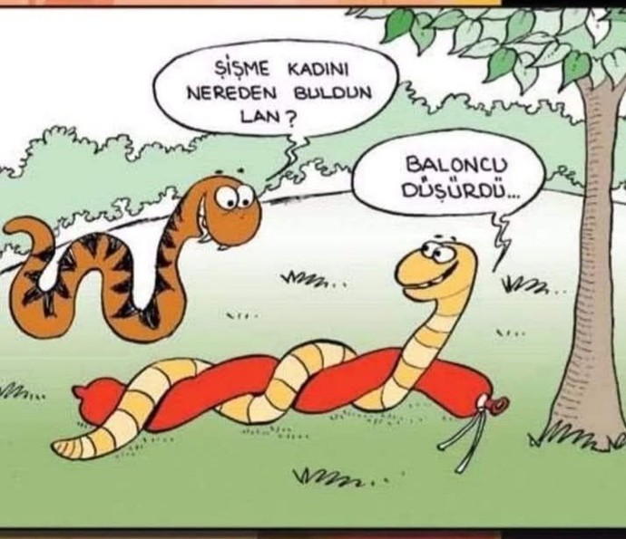 Prenses erkekler ne demek?