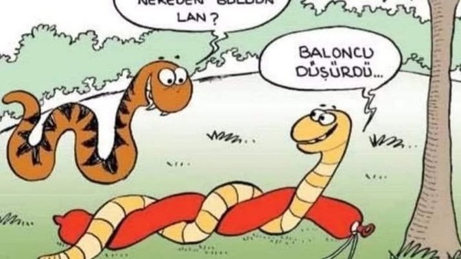 Prenses erkekler ne demek?