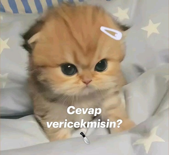 Aşka küsmek mümkün mü?