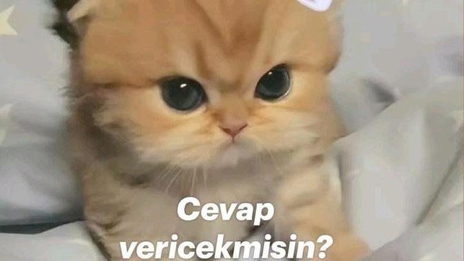 Aşka küsmek mümkün mü?