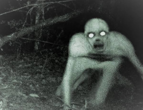 Bööööö