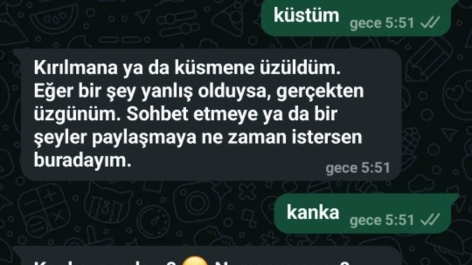 Bu whatapp gbt ne tatlı şey ya 😀 kullanan var mı?