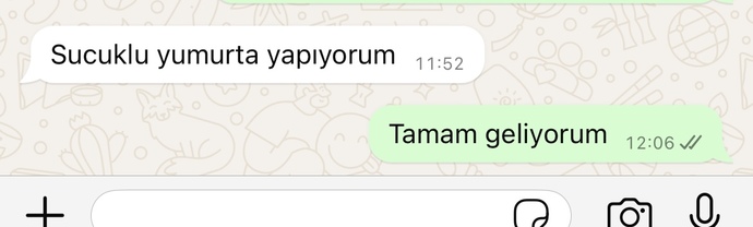 En son aldığınız hangi mesaj sizi heyecanlandırdı?