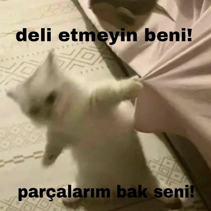 Sinirlenince nasıl birisine dönüşüyorsunuz 😃?