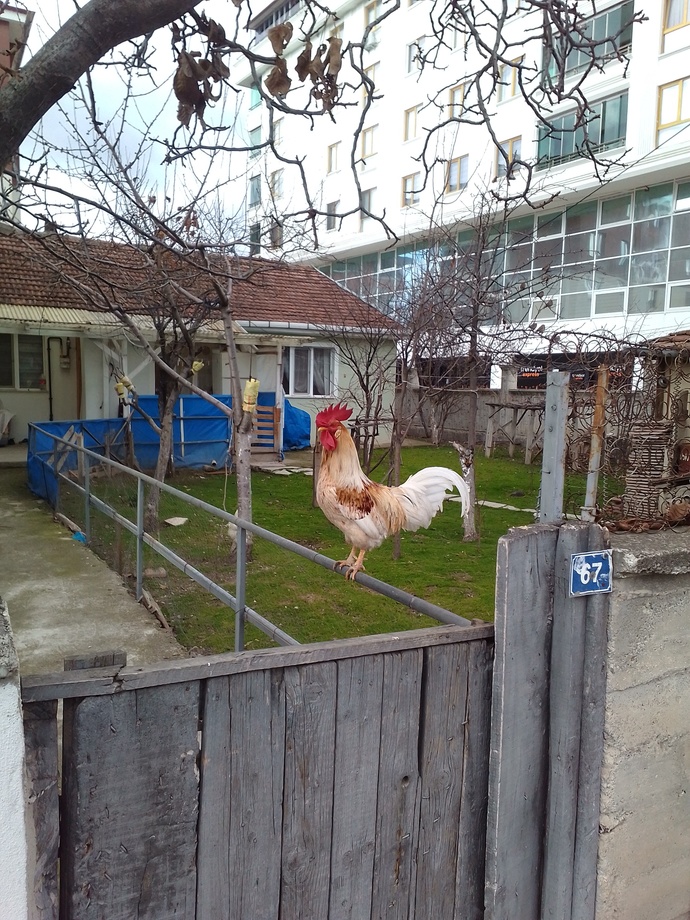 Kocama bakın bii çok yakışıklı değil miii🤭?