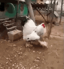 Kocama bakın bii çok yakışıklı değil miii🤭?
