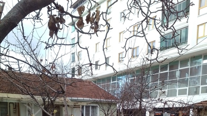 Kocama bakın bii çok yakışıklı değil miii🤭?