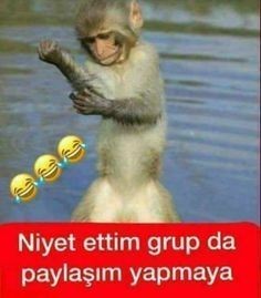 Neye niyet neye kısmet dersiniz?