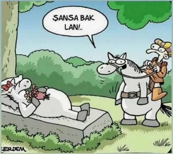 Neye niyet neye kısmet dersiniz?