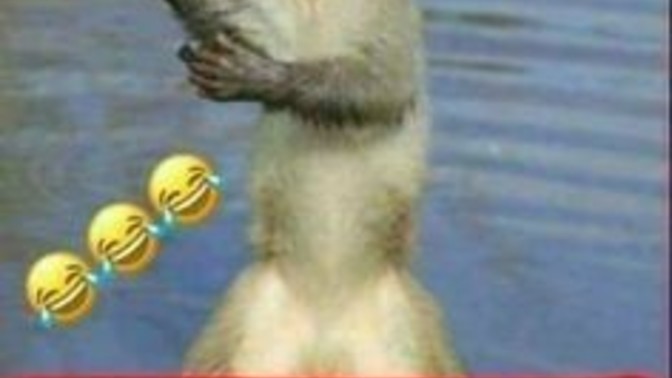 Neye niyet neye kısmet dersiniz?