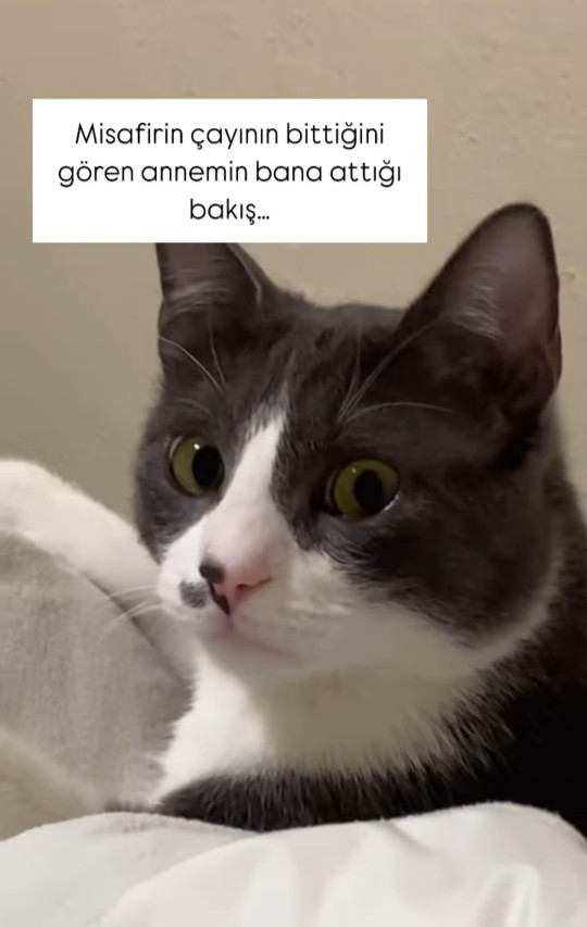 Misafir seven var mı?