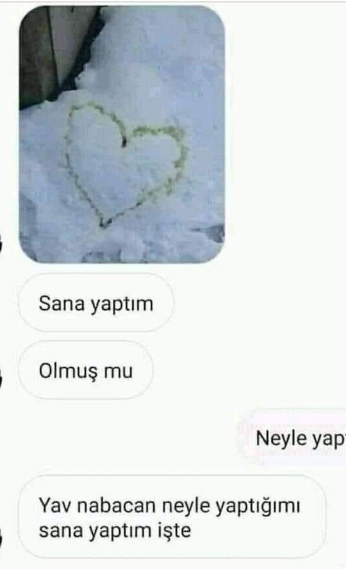Sanat