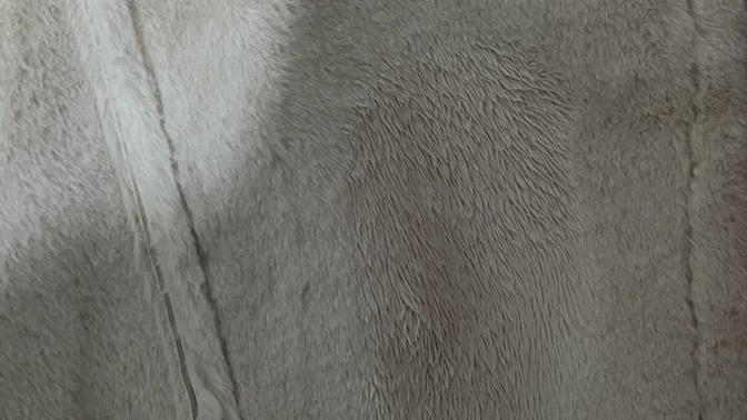 Deri ceketimi kuru temizlemeyemi vermeliyim evde kendim yıkasam bişey olur mu?