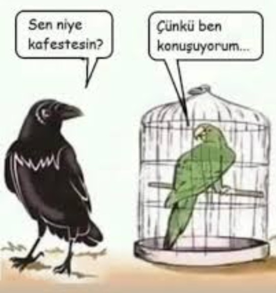 Ümit Özdağın, sorguya alınması konusunda ne düşünüyorsunuz?