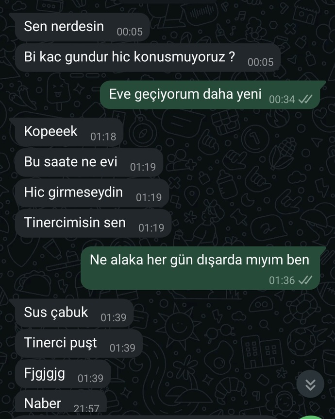 Son mesajlarımız bunlar ve bitti öylece anlamsız bir şekilde