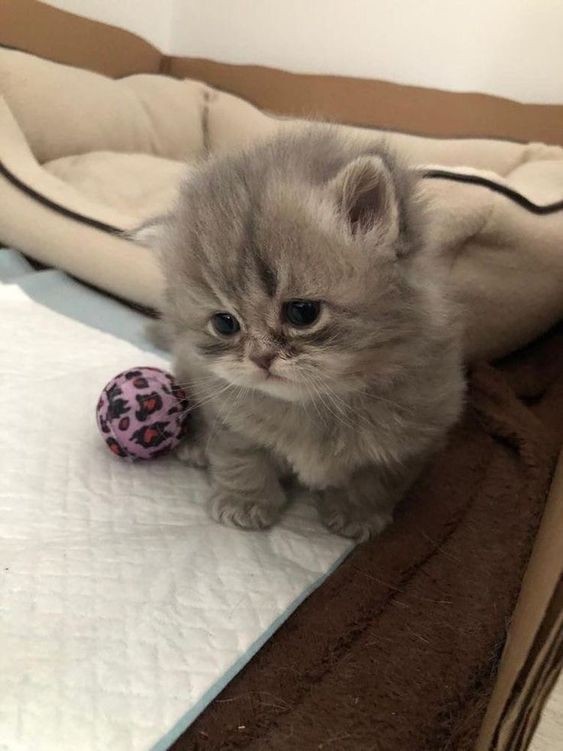 Kırılgan biri misiniz?