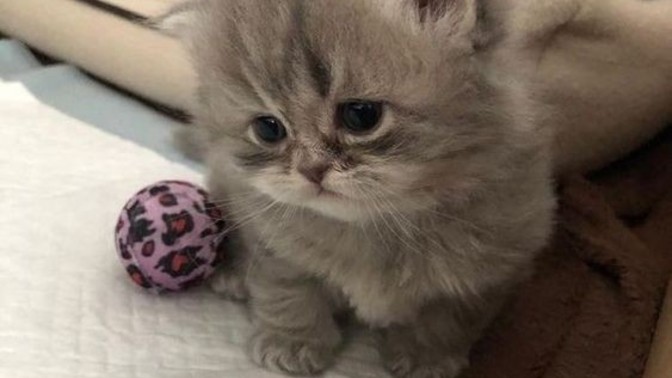 Kırılgan biri misiniz?