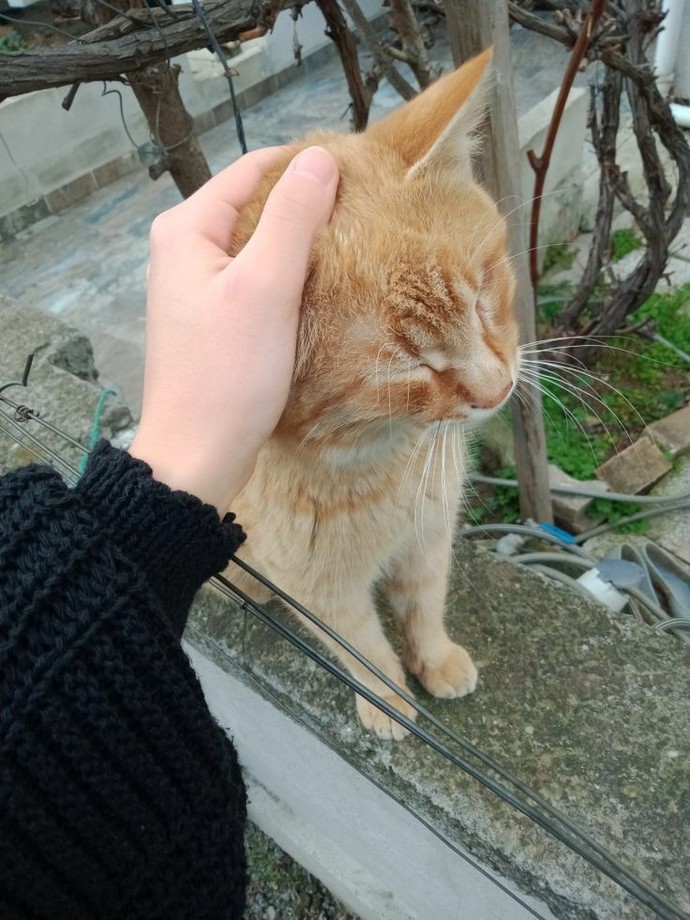Sadigesu bebeğimin katkıları ile 💕