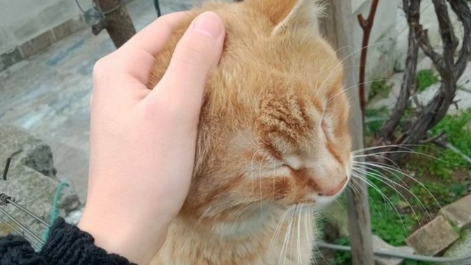 Sizin için yıllardır olması gereken ama olmayan şey nedir?