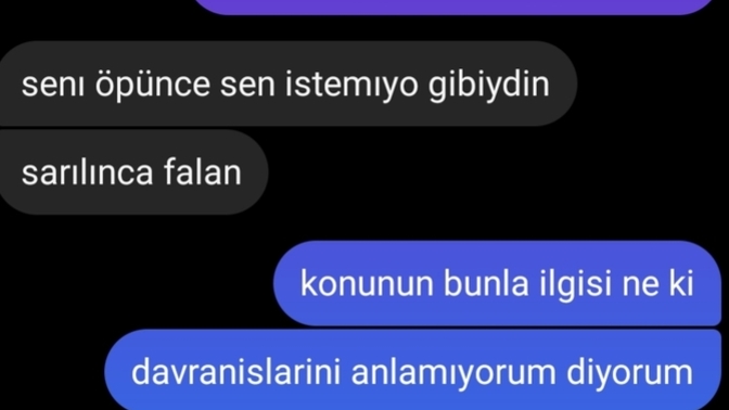 Boyle yazmis olması ile ilgili ne dusunulmeli sizce?