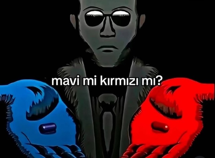 Birini seçmek zorunda olsanız hangisini seçerdiniz?
