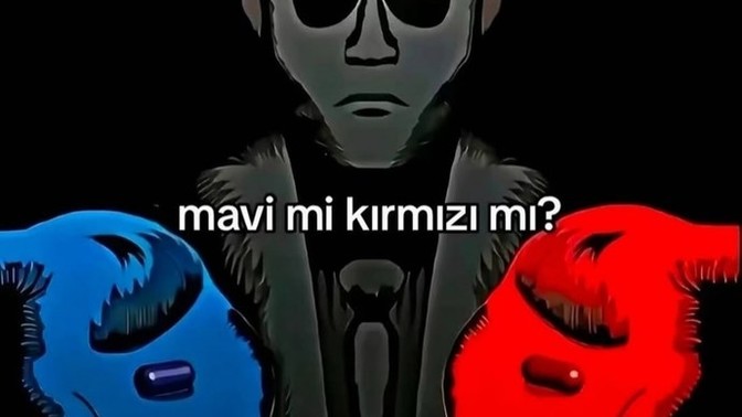 Birini seçmek zorunda olsanız hangisini seçerdiniz?